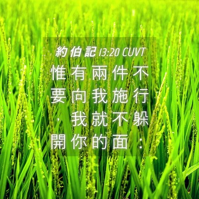 Picture 04 - 約 伯 記 13:20 CUVT - 惟 有 兩 件 不 要 向 我 施 行 ， 我 - Bible Verse Picture