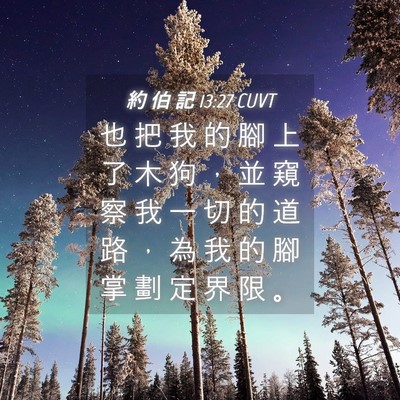 Picture 04 - 約 伯 記 13:27 CUVT - 也 把 我 的 腳 上 了 木 狗 ， 並 窺 - Bible Verse Picture