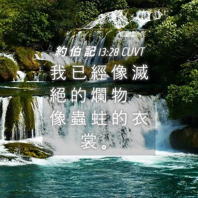 Picture 04 - 約 伯 記 13:28 CUVT - 我 已 經 像 滅 絕 的 爛 物 ， 像 蟲 - Bible Verse Picture
