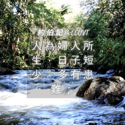 Picture 04 - 約 伯 記 14:1 CUVT - 人 為 婦 人 所 生 ， 日 子 短 少 ， - Bible Verse Picture