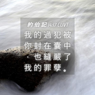 Picture 04 - 約 伯 記 14:17 CUVT - 我 的 過 犯 被 你 封 在 囊 中 ， 也 - Bible Verse Picture