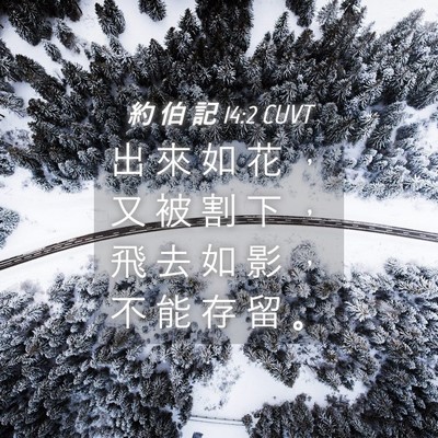 Picture 04 - 約 伯 記 14:2 CUVT - 出 來 如 花 ， 又 被 割 下 ， 飛 去 - Bible Verse Picture