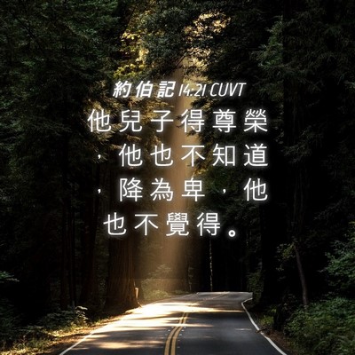 Picture 04 - 約 伯 記 14:21 CUVT - 他 兒 子 得 尊 榮 ， 他 也 不 知 道 - Bible Verse Picture