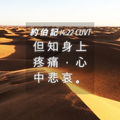 Picture 04 - 約 伯 記 14:22 CUVT - 但 知 身 上 疼 痛 ， 心 中 悲 哀 - Bible Verse Picture