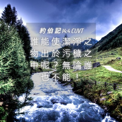 Picture 04 - 約 伯 記 14:4 CUVT - 誰 能 使 潔 淨 之 物 出 於 污 穢 之 - Bible Verse Picture