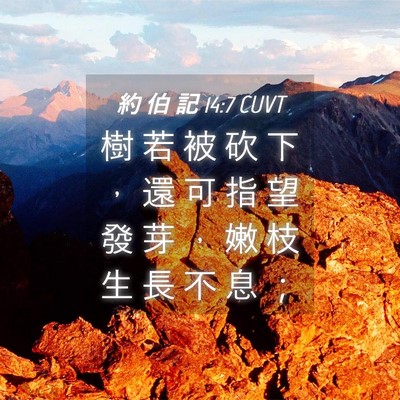 Picture 04 - 約 伯 記 14:7 CUVT - 樹 若 被 砍 下 ， 還 可 指 望 發 芽 - Bible Verse Picture