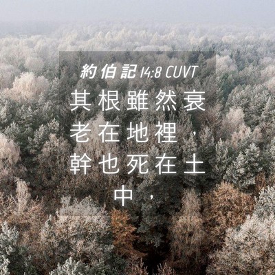 Picture 04 - 約 伯 記 14:8 CUVT - 其 根 雖 然 衰 老 在 地 裡 ， 幹 也 - Bible Verse Picture