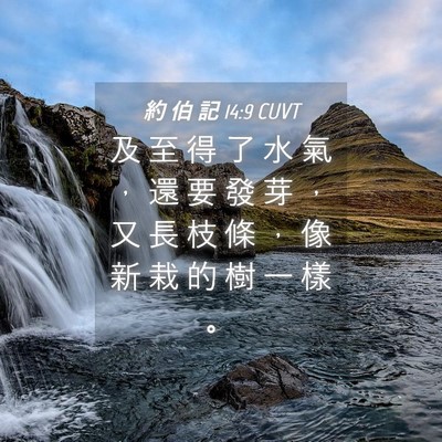 Picture 04 - 約 伯 記 14:9 CUVT - 及 至 得 了 水 氣 ， 還 要 發 芽 ， - Bible Verse Picture