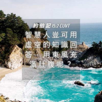 Picture 04 - 約 伯 記 15:2 CUVT - 智 慧 人 豈 可 用 虛 空 的 知 識 回 - Bible Verse Picture