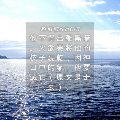 Picture 04 - 約 伯 記 15:30 CUVT - 他 不 得 出 離 黑 暗 。 火 燄 要 將 - Bible Verse Picture