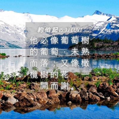 Picture 04 - 約 伯 記 15:33 CUVT - 他 必 像 葡 萄 樹 的 葡 萄 ， 未 熟 - Bible Verse Picture