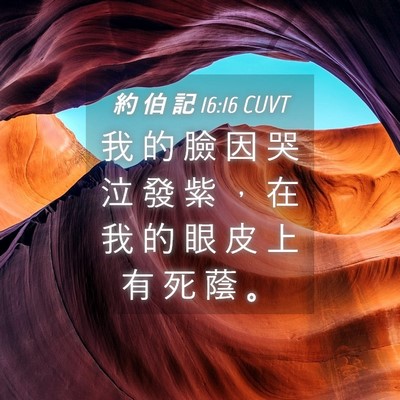 Picture 04 - 約 伯 記 16:16 CUVT - 我 的 臉 因 哭 泣 發 紫 ， 在 我 的 - Bible Verse Picture