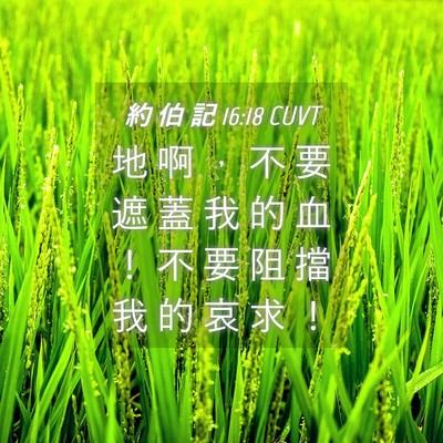 Picture 04 - 約 伯 記 16:18 CUVT - 地 啊 ， 不 要 遮 蓋 我 的 血 ！ 不 - Bible Verse Picture