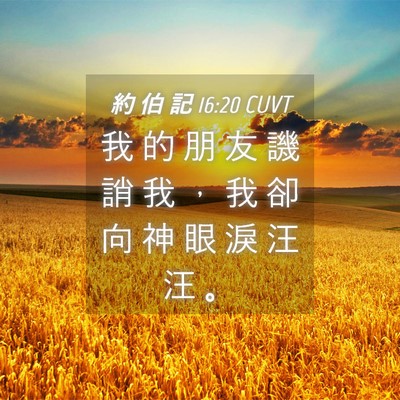 Picture 04 - 約 伯 記 16:20 CUVT - 我 的 朋 友 譏 誚 我 ， 我 卻 向 神 - Bible Verse Picture