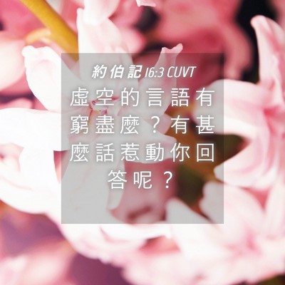 Picture 04 - 約 伯 記 16:3 CUVT - 虛 空 的 言 語 有 窮 盡 麼 ？ 有 甚 - Bible Verse Picture