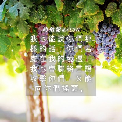 Picture 04 - 約 伯 記 16:4 CUVT - 我 也 能 說 你 們 那 樣 的 話 ； 你 - Bible Verse Picture