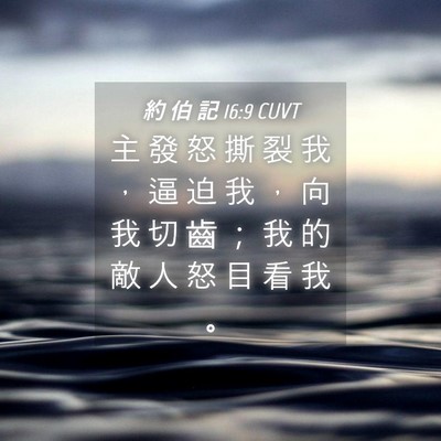 Picture 04 - 約 伯 記 16:9 CUVT - 主 發 怒 撕 裂 我 ， 逼 迫 我 ， 向 - Bible Verse Picture