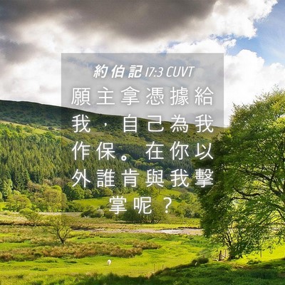 Picture 04 - 約 伯 記 17:3 CUVT - 願 主 拿 憑 據 給 我 ， 自 己 為 我 - Bible Verse Picture