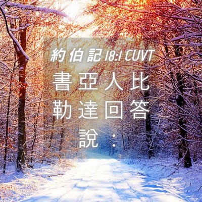 Picture 04 - 約 伯 記 18:1 CUVT - 書 亞 人 比 勒 達 回 答 說 - Bible Verse Picture