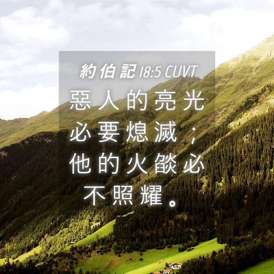 Picture 04 - 約 伯 記 18:5 CUVT - 惡 人 的 亮 光 必 要 熄 滅 ； 他 的 - Bible Verse Picture