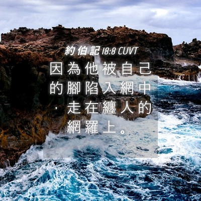 Picture 04 - 約 伯 記 18:8 CUVT - 因 為 他 被 自 己 的 腳 陷 入 網 中 - Bible Verse Picture