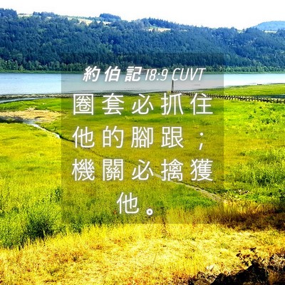 Picture 04 - 約 伯 記 18:9 CUVT - 圈 套 必 抓 住 他 的 腳 跟 ； 機 關 - Bible Verse Picture