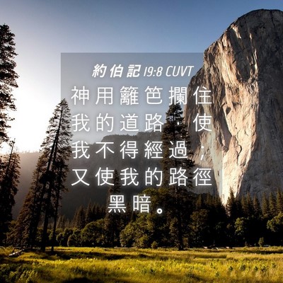 Picture 04 - 約 伯 記 19:8 CUVT - 神 用 籬 笆 攔 住 我 的 道 路 ， 使 - Bible Verse Picture