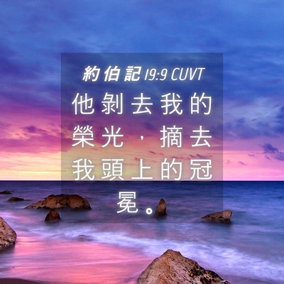 Picture 04 - 約 伯 記 19:9 CUVT - 他 剝 去 我 的 榮 光 ， 摘 去 我 頭 - Bible Verse Picture