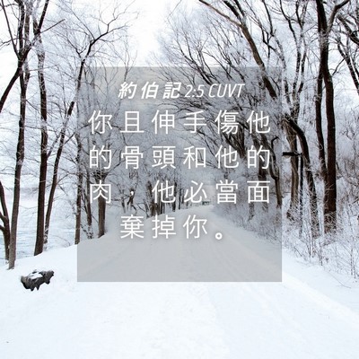 Picture 04 - 約 伯 記 2:5 CUVT - 你 且 伸 手 傷 他 的 骨 頭 和 他 的 - Bible Verse Picture