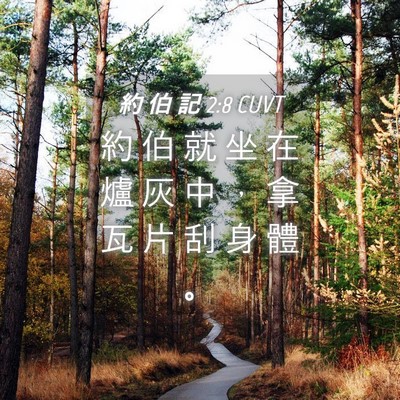 Picture 04 - 約 伯 記 2:8 CUVT - 約 伯 就 坐 在 爐 灰 中 ， 拿 瓦 片 - Bible Verse Picture