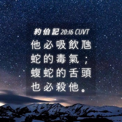 Picture 04 - 約 伯 記 20:16 CUVT - 他 必 吸 飲 虺 蛇 的 毒 氣 ； 蝮 蛇 - Bible Verse Picture