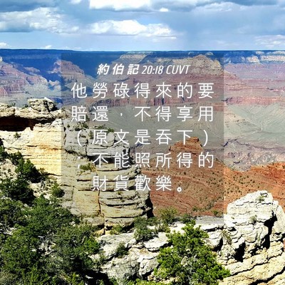 Picture 04 - 約 伯 記 20:18 CUVT - 他 勞 碌 得 來 的 要 賠 還 ， 不 得 - Bible Verse Picture