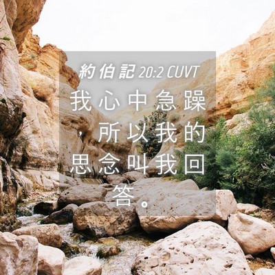 Picture 04 - 約 伯 記 20:2 CUVT - 我 心 中 急 躁 ， 所 以 我 的 思 念 - Bible Verse Picture