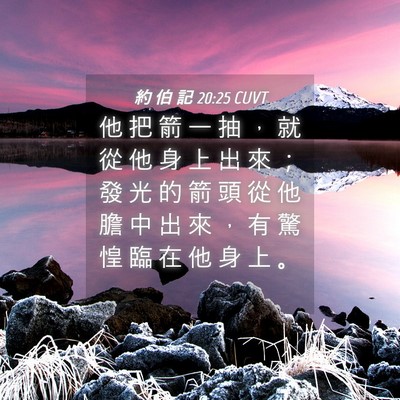 Picture 04 - 約 伯 記 20:25 CUVT - 他 把 箭 一 抽 ， 就 從 他 身 上 出 - Bible Verse Picture