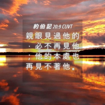 Picture 04 - 約 伯 記 20:9 CUVT - 親 眼 見 過 他 的 ， 必 不 再 見 他 - Bible Verse Picture