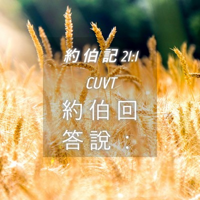 Picture 04 - 約 伯 記 21:1 CUVT - 約 伯 回 答 說 - Bible Verse Picture