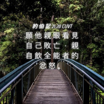 Picture 04 - 約 伯 記 21:20 CUVT - 願 他 親 眼 看 見 自 己 敗 亡 ， 親 - Bible Verse Picture
