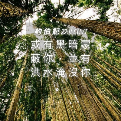 Picture 04 - 約 伯 記 22:11 CUVT - 或 有 黑 暗 蒙 蔽 你 ， 並 有 洪 水 - Bible Verse Picture