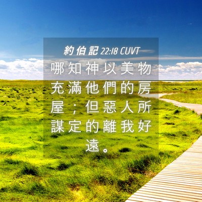 Picture 04 - 約 伯 記 22:18 CUVT - 哪 知 神 以 美 物 充 滿 他 們 的 房 - Bible Verse Picture