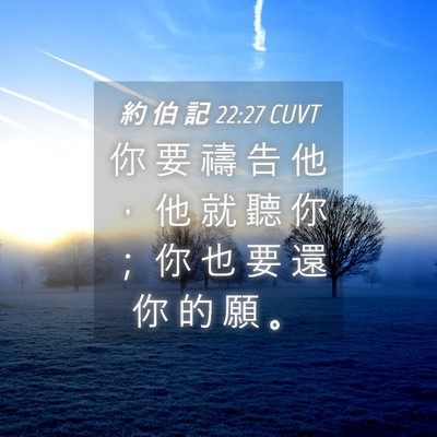 Picture 04 - 約 伯 記 22:27 CUVT - 你 要 禱 告 他 ， 他 就 聽 你 ； 你 - Bible Verse Picture