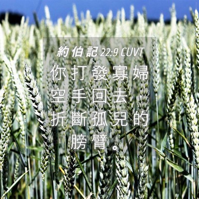Picture 04 - 約 伯 記 22:9 CUVT - 你 打 發 寡 婦 空 手 回 去 ， 折 斷 - Bible Verse Picture