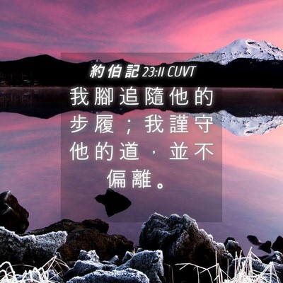 Picture 04 - 約 伯 記 23:11 CUVT - 我 腳 追 隨 他 的 步 履 ； 我 謹 守 - Bible Verse Picture
