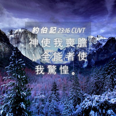 Picture 04 - 約 伯 記 23:16 CUVT - 神 使 我 喪 膽 ； 全 能 者 使 我 驚 - Bible Verse Picture