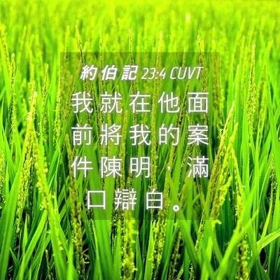 Picture 04 - 約 伯 記 23:4 CUVT - 我 就 在 他 面 前 將 我 的 案 件 陳 - Bible Verse Picture