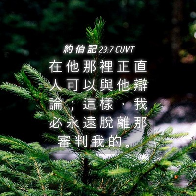 Picture 04 - 約 伯 記 23:7 CUVT - 在 他 那 裡 正 直 人 可 以 與 他 辯 - Bible Verse Picture