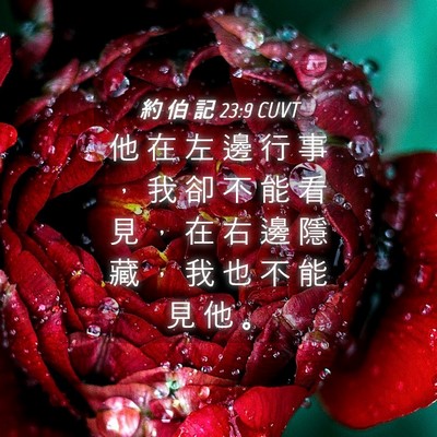 Picture 04 - 約 伯 記 23:9 CUVT - 他 在 左 邊 行 事 ， 我 卻 不 能 看 - Bible Verse Picture