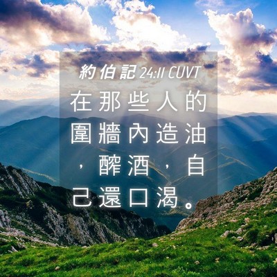 Picture 04 - 約 伯 記 24:11 CUVT - 在 那 些 人 的 圍 牆 內 造 油 ， 醡 - Bible Verse Picture