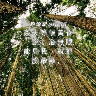 Picture 04 - 約 伯 記 24:15 CUVT - 姦 夫 等 候 黃 昏 ， 說 ： 必 無 眼 - Bible Verse Picture
