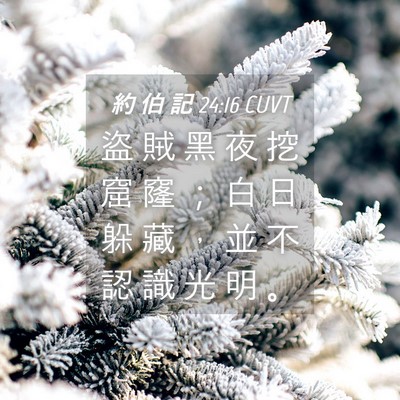 Picture 04 - 約 伯 記 24:16 CUVT - 盜 賊 黑 夜 挖 窟 窿 ； 白 日 躲 藏 - Bible Verse Picture