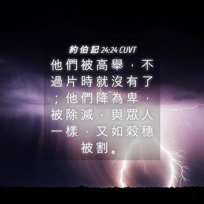 Picture 04 - 約 伯 記 24:24 CUVT - 他 們 被 高 舉 ， 不 過 片 時 就 沒 - Bible Verse Picture
